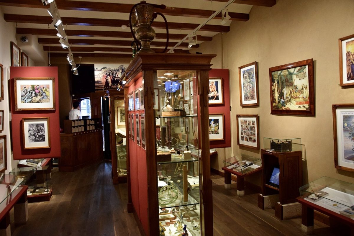 Interior elegante de una galería de museo con vitrinas de cristal, cuadros enmarcados y piezas históricas relacionadas con el cáñamo