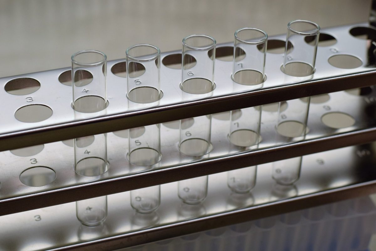 Fila de tubos de ensayo de vidrio vacíos colocados en una gradilla metálica, fotografiados de cerca en un laboratorio.