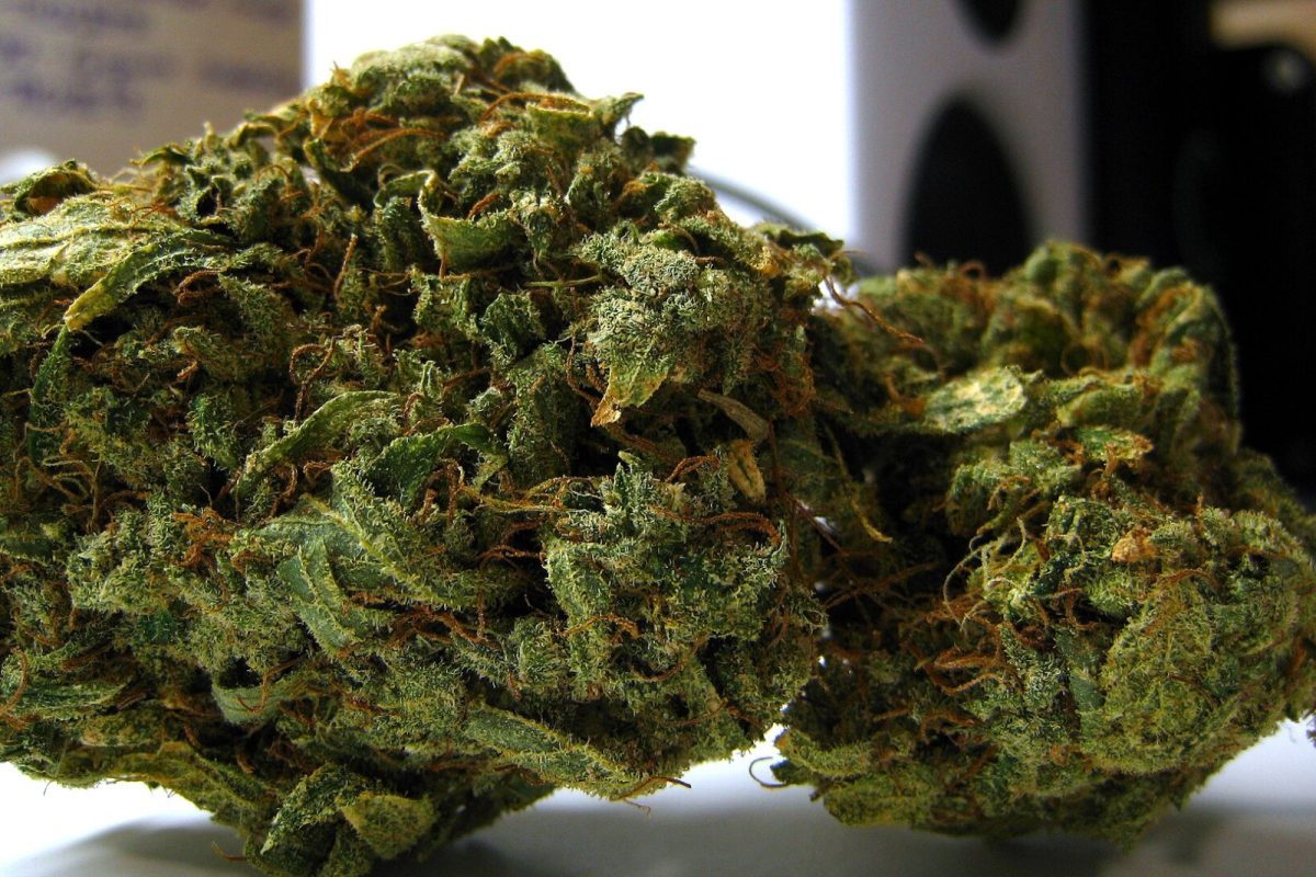 Macrofotografía de cogollos de cannabis secos con abundantes pistilos