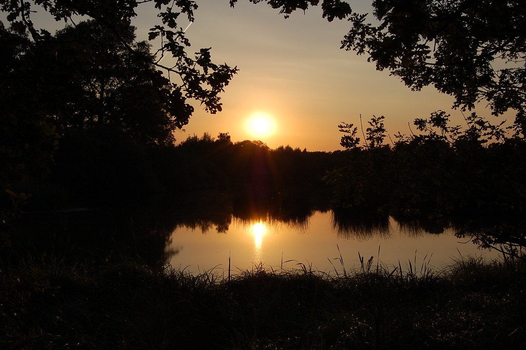 Puesta de sol reflejada en la superficie de un lago rodeado de árboles en silueta