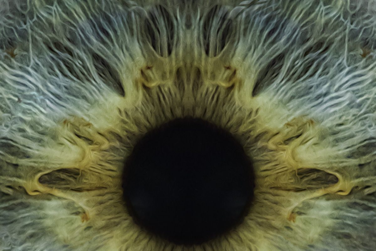 Primer plano extremo de un iris humano con textura radial simétrica, semejante a un mandala