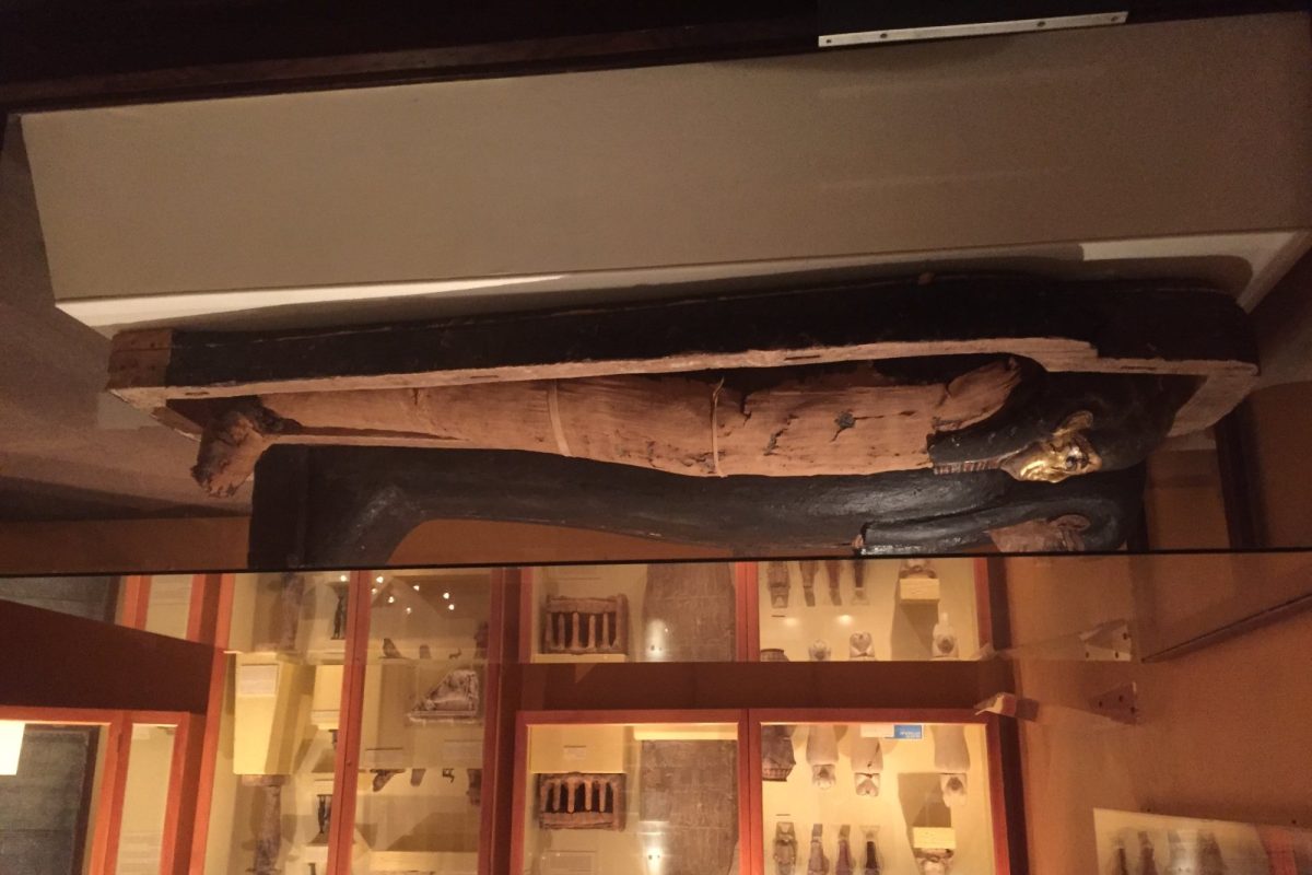 Momia egipcia envuelta en vendas dentro de su ataúd, expuesta en una vitrina de museo