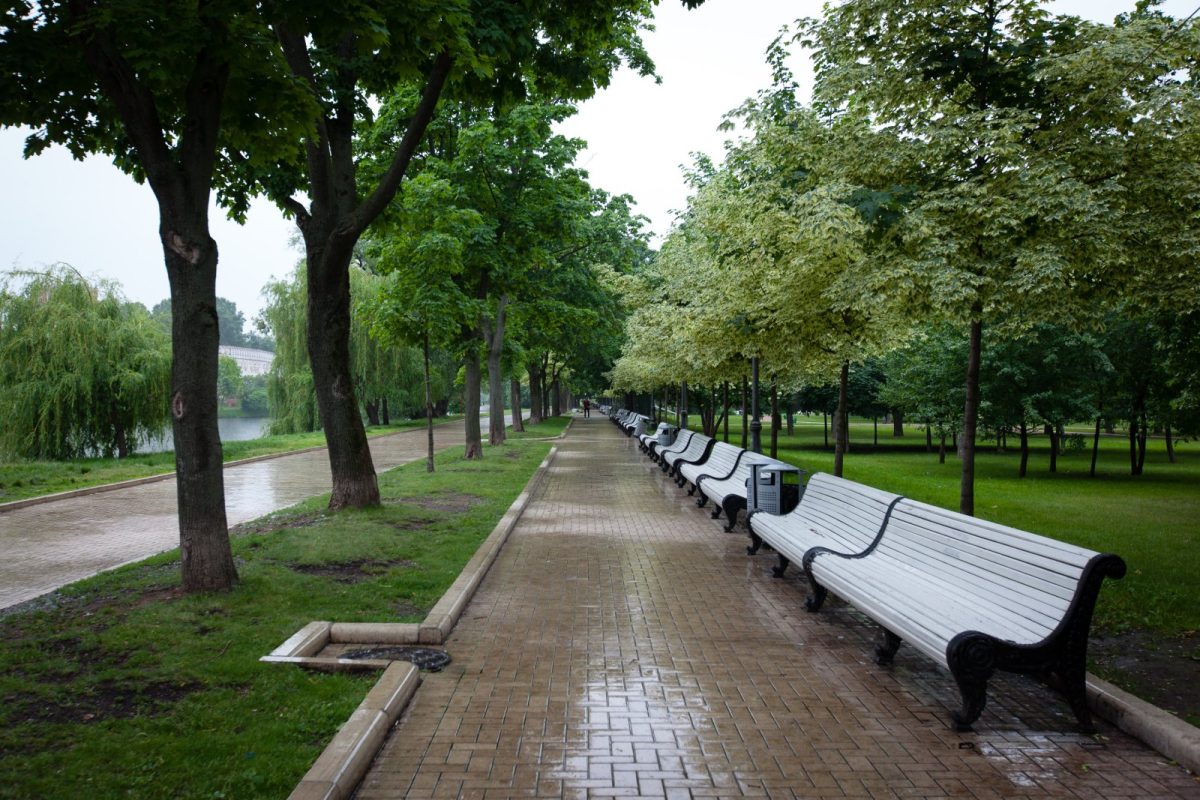 Bancos de un parque vacíos junto a un camino húmedo por la lluvia, entre árboles verdes