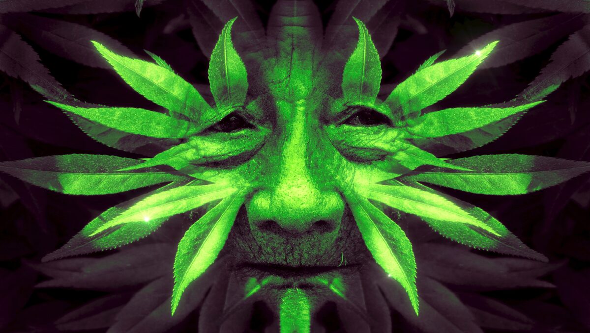 fantasy, face, leaves