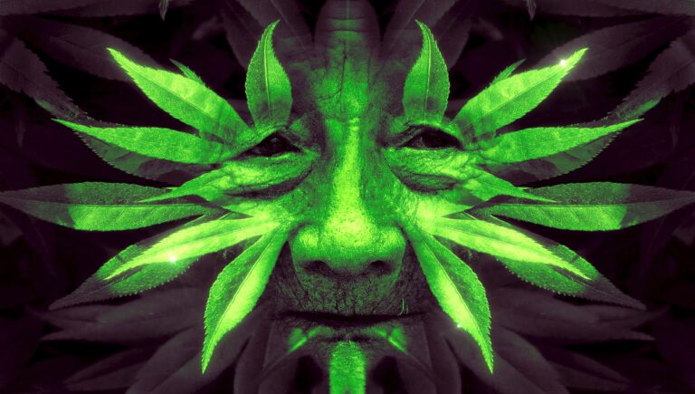 fantasy, face, leaves