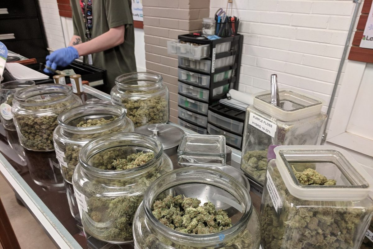 Tarros de cristal con distintas variedades de cannabis expuestos en el mostrador de un dispensario legal