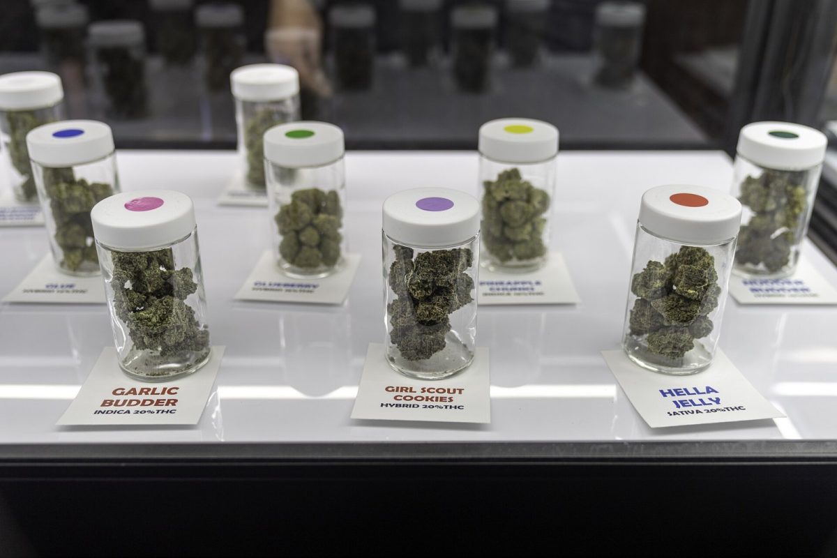 Botes de cannabis legal etiquetados con nombre de variedad, tipo y porcentaje de THC en un dispensario