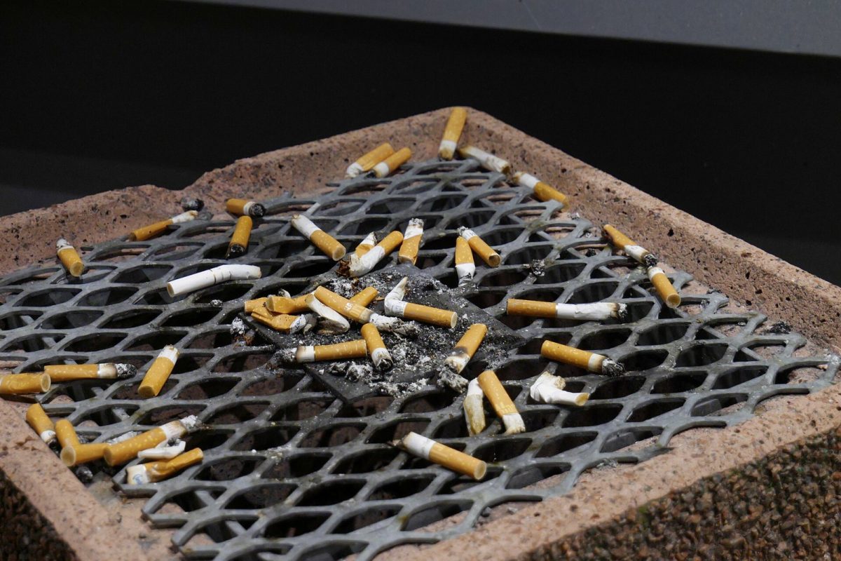 Numerosas colillas de cigarrillo apagadas sobre la rejilla de un cenicero público