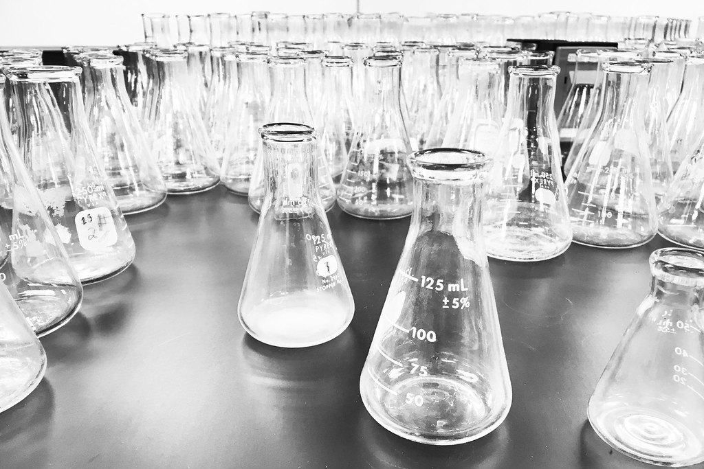 Hilera de matraces Erlenmeyer de vidrio vacíos alineados sobre una mesa de laboratorio, fotografiados en blanco y negro.