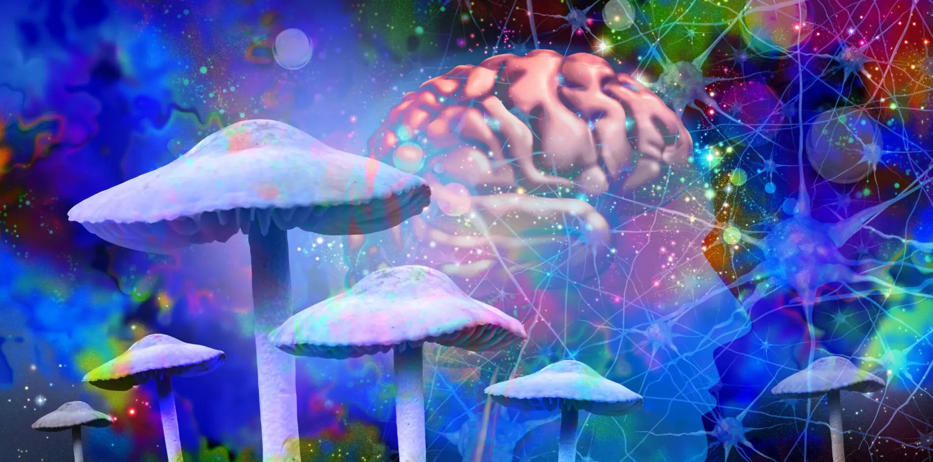 Ilustración de un cerebro entre setas y redes de colores