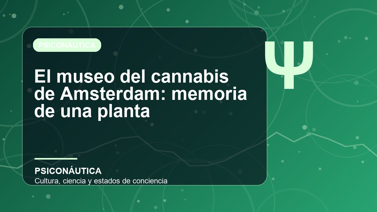 Imagen editorial de El museo del cannabis de Amsterdam: memoria de una planta
