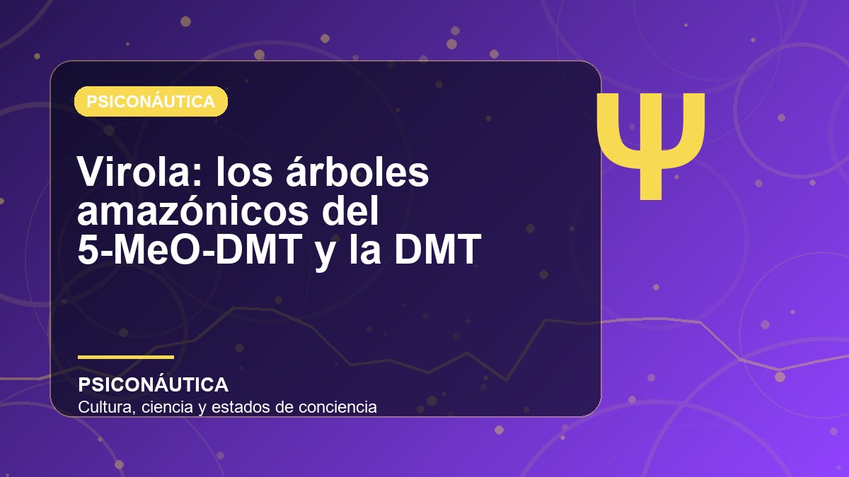 Imagen editorial de Virola: los árboles amazónicos del 5-MeO-DMT y la DMT