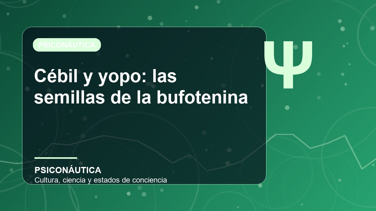 Imagen editorial de Cébil y yopo: las semillas de la bufotenina