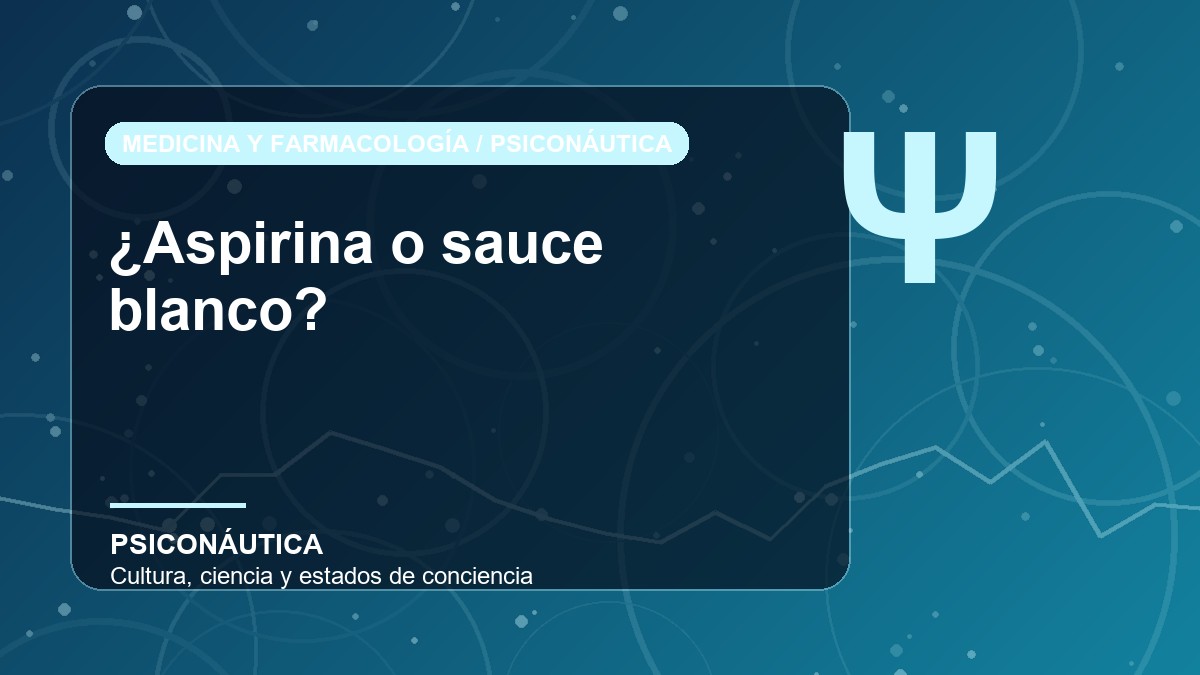 Imagen editorial de ¿Aspirina o sauce blanco?