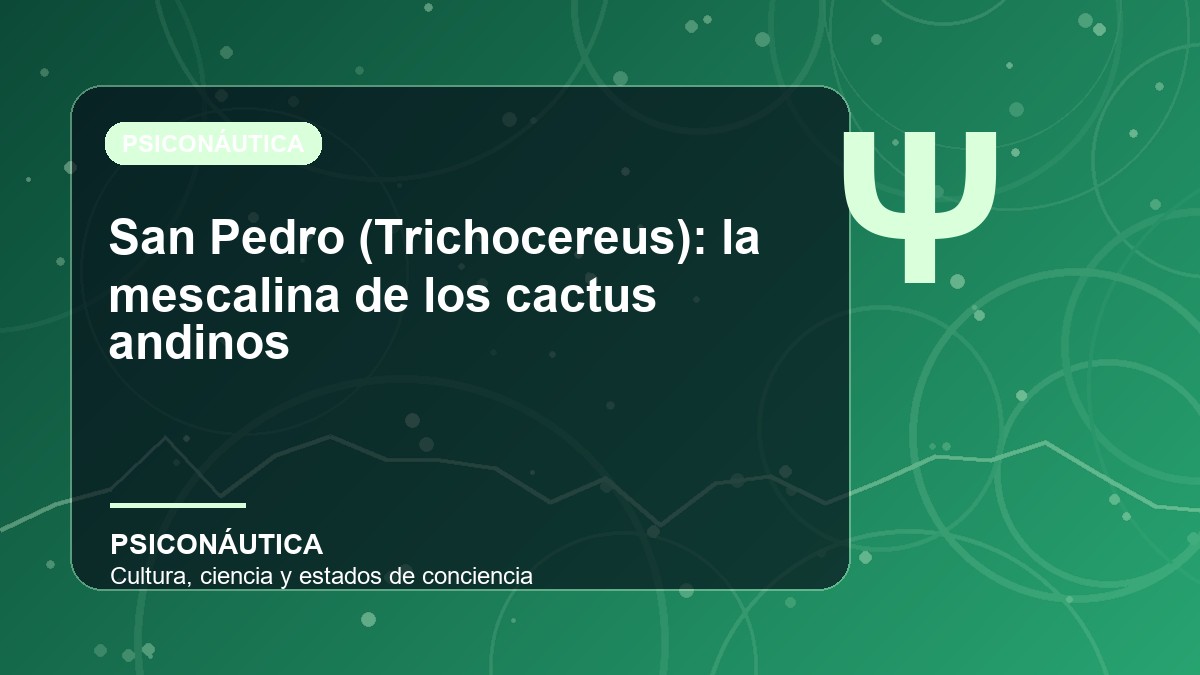 Imagen editorial de San Pedro (Trichocereus): la mescalina de los cactus andinos