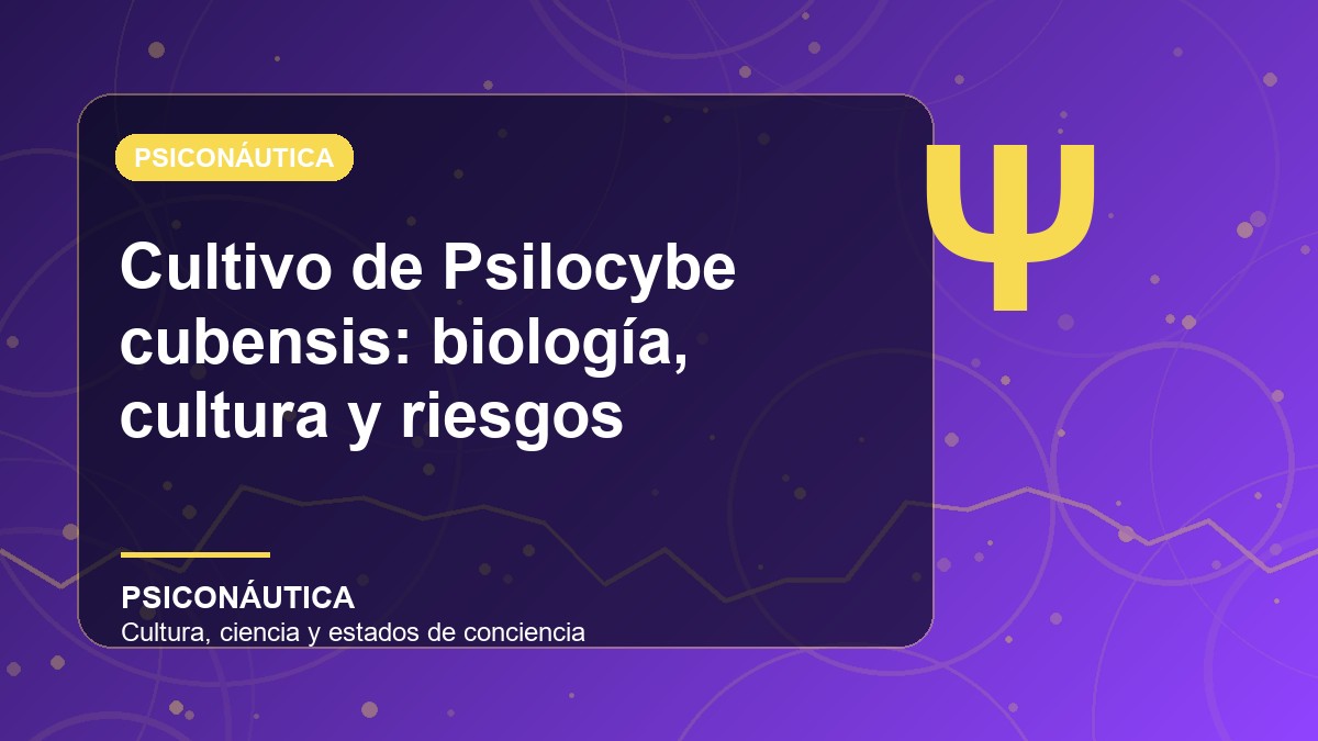Imagen editorial de Cultivo de Psilocybe cubensis: biología, cultura y riesgos