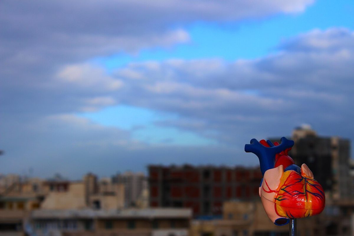 Modelo anatómico de un corazón humano en primer plano con un cielo nuboso y una ciudad de fondo
