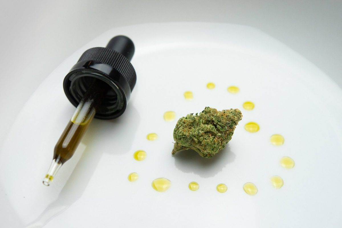 Cuentagotas de aceite de CBD junto a un cogollo de cannabis sobre un plato blanco, rodeado de gotas de aceite