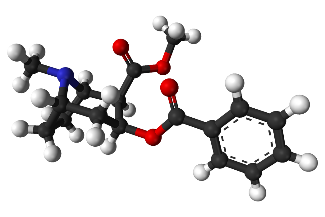 Modelo tridimensional de bolas y varillas de la molécula de cocaína sobre fondo blanco