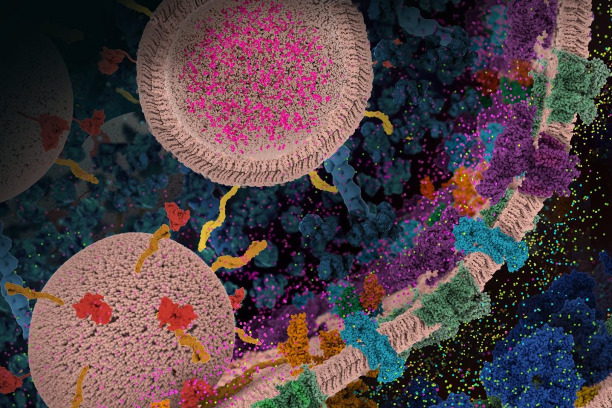 Ilustración científica detallada de una sinapsis glutamatérgica, con vesículas y proteínas representadas en distintos colores