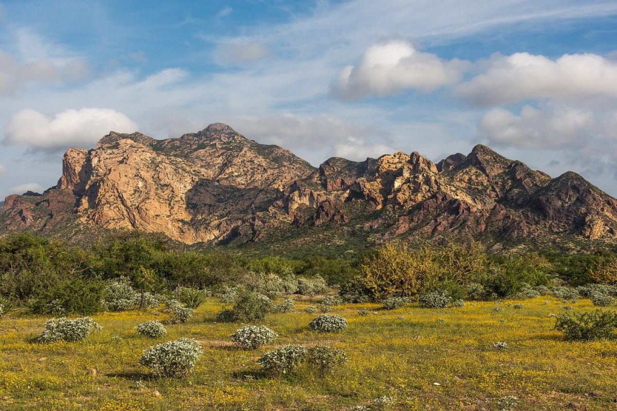 Paisaje de montañas y desierto en Sonora (San Carlos)