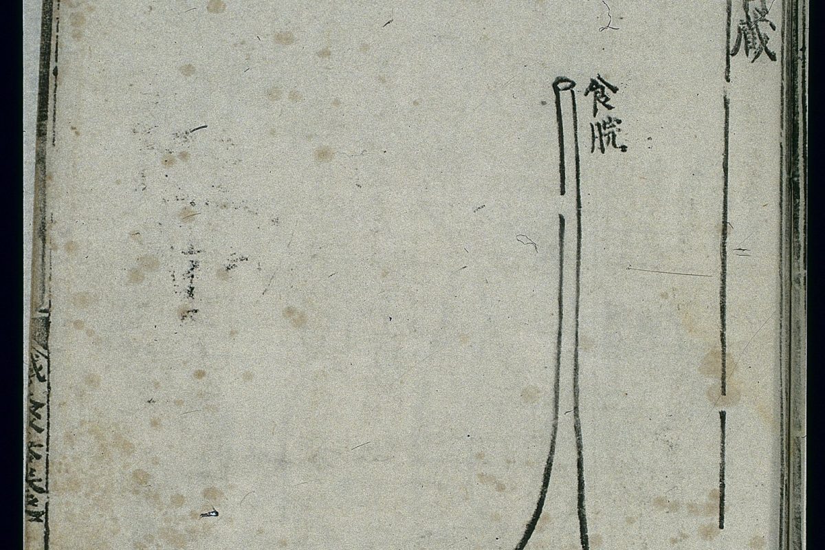 Xilografía antigua y desgastada que muestra la anatomía del estómago según la medicina tradicional china, con caracteres chinos como etiquetas