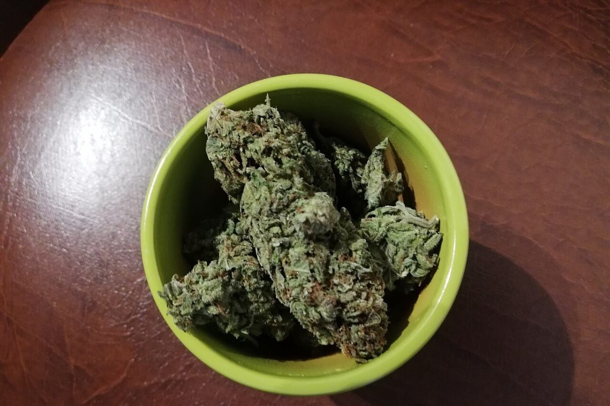 Cogollos secos de cannabis en un cuenco verde sobre una mesa de cuero