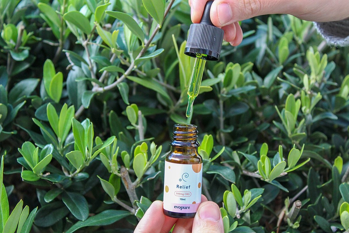 Mano sosteniendo un frasco de aceite de CBD con gotero frente a un arbusto verde