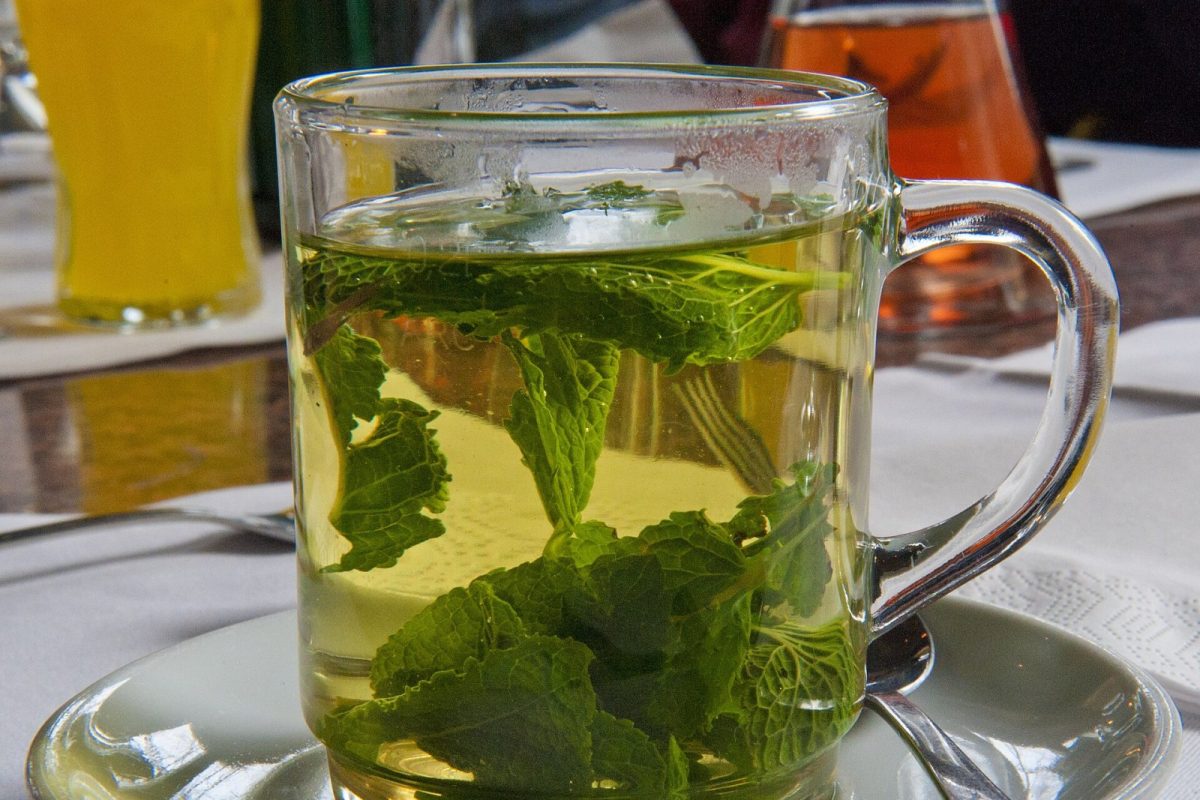 Taza de cristal con infusión de menta fresca sobre un plato, remedio tradicional para las náuseas