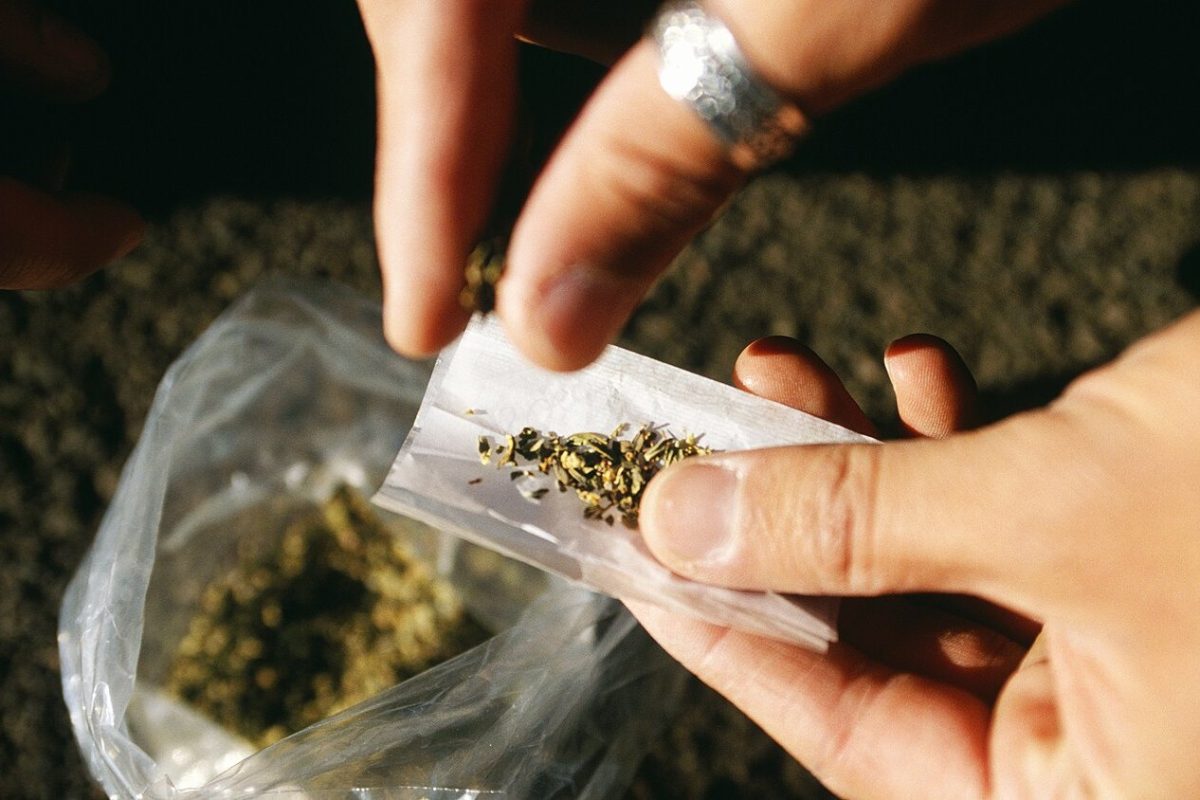 Manos liando un cigarrillo con hierba picada sobre papel, junto a una bolsa transparente con cogollos