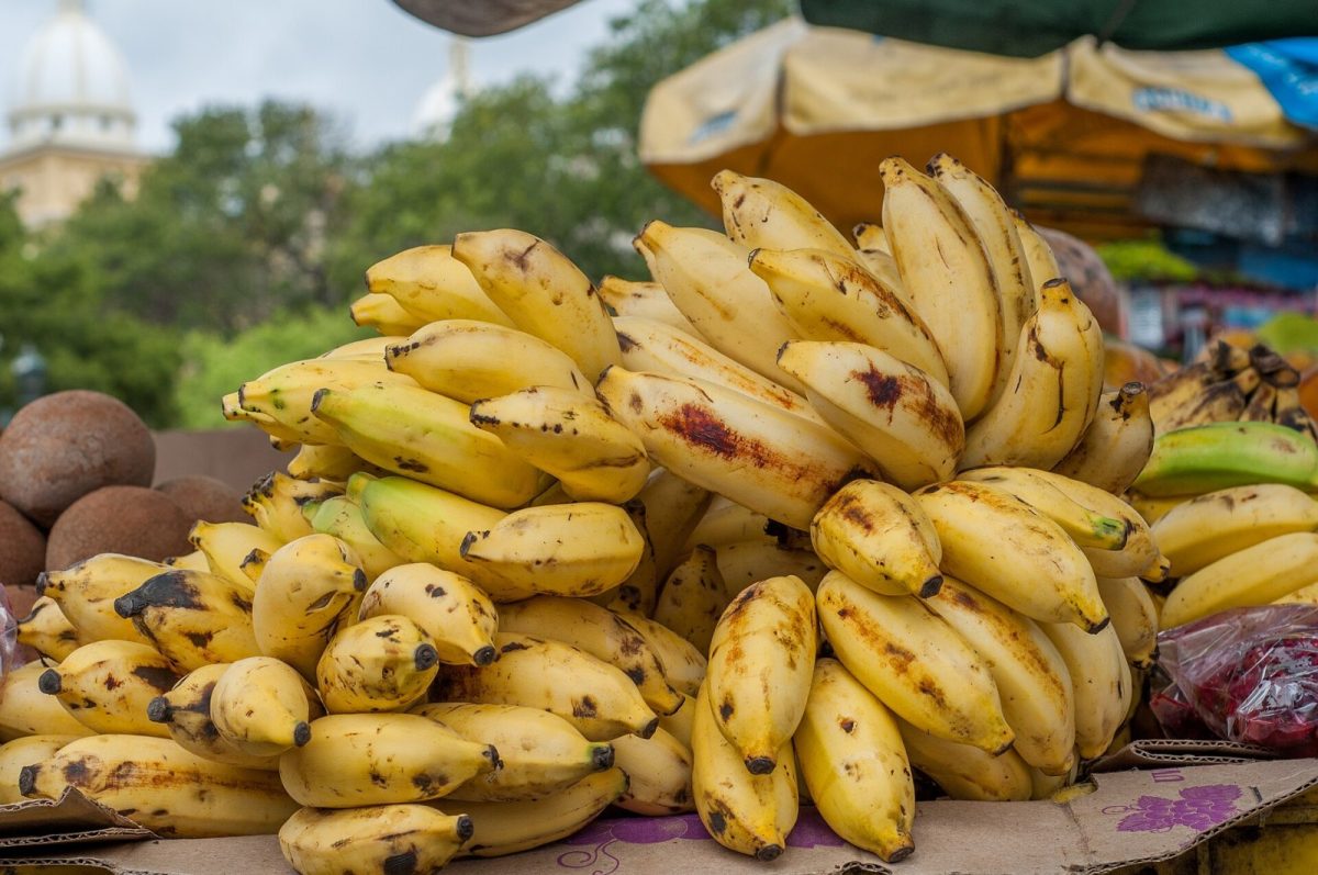 Grandes racimos de plátanos maduros amontonados en un puesto de mercado al aire libre