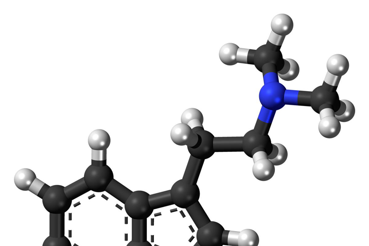 Modelo tridimensional de bolas y varillas de una molécula de dimetiltriptamina (DMT), con átomos de carbono en gris, nitrógeno en azul e hidrógeno en blanco, sobre fondo transparente.