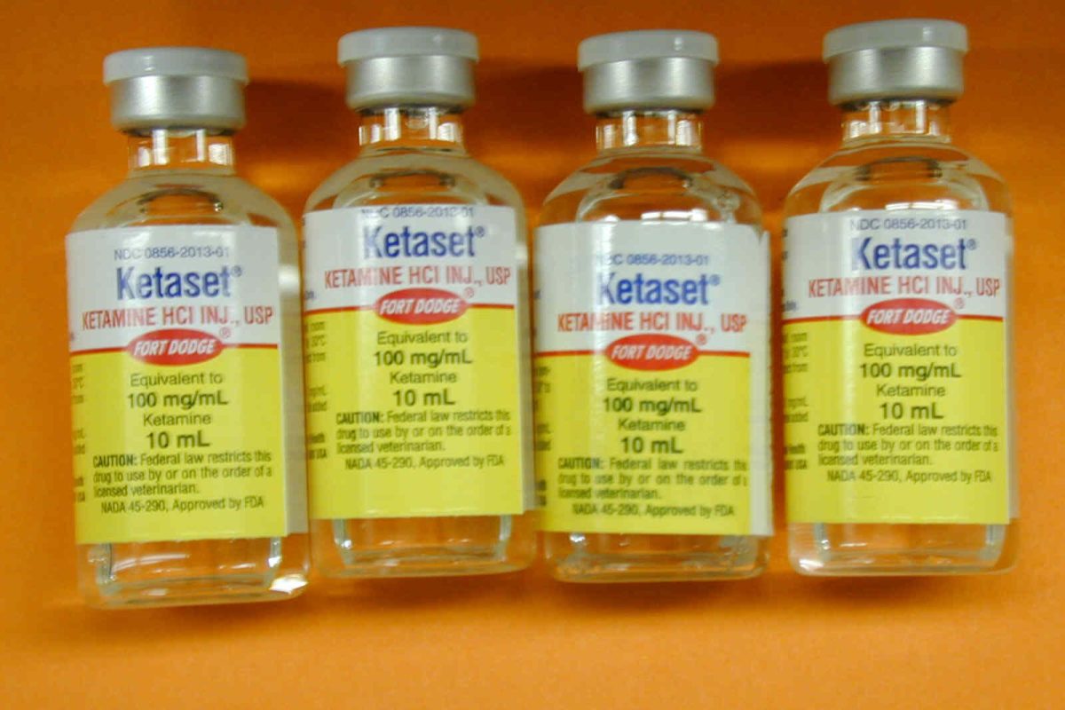 Cuatro viales etiquetados de ketamina inyectable (100 mg/mL) alineados sobre un fondo liso