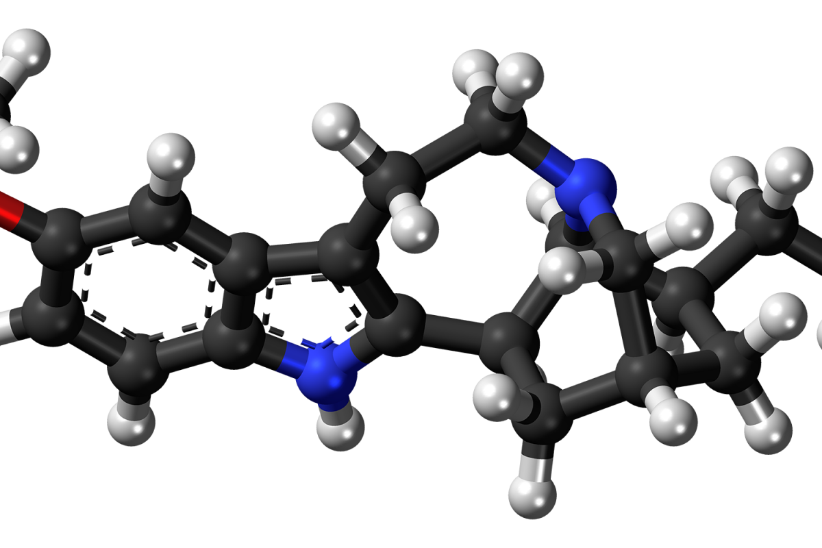 Modelo molecular tridimensional de bolas y varillas de la ibogaína, con átomos de carbono en negro, hidrógeno en blanco, nitrógeno en azul y oxígeno en rojo, sobre fondo transparente