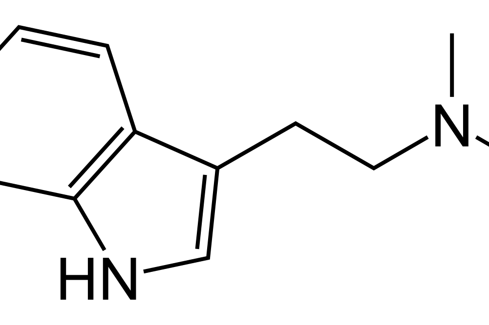 Estructura molecular 2D en trazos de la dimetiltriptamina (DMT), con el anillo indólico y la cadena dimetilaminoetilo