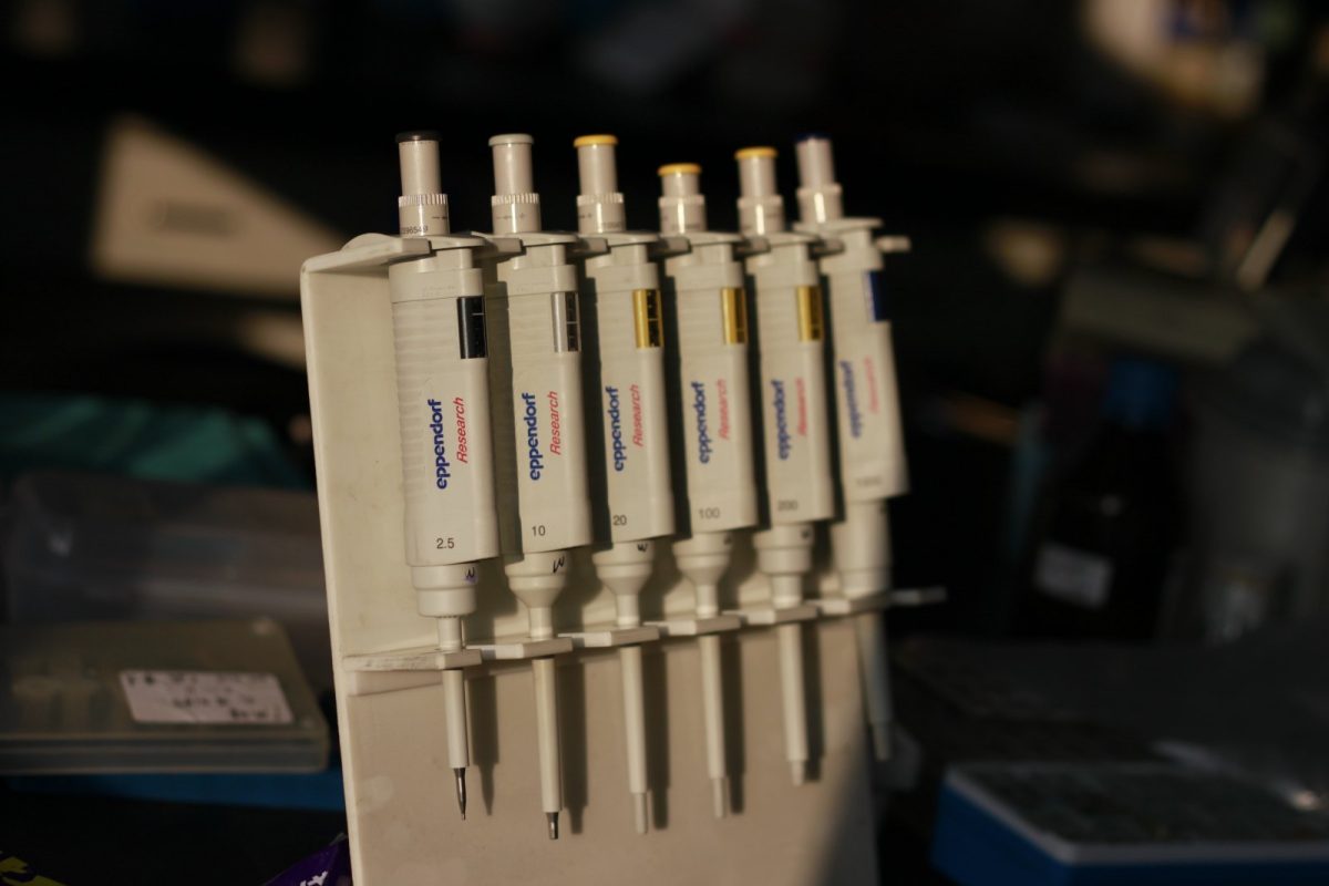 Fila de pipetas automáticas de laboratorio sobre un soporte en un banco de trabajo científico