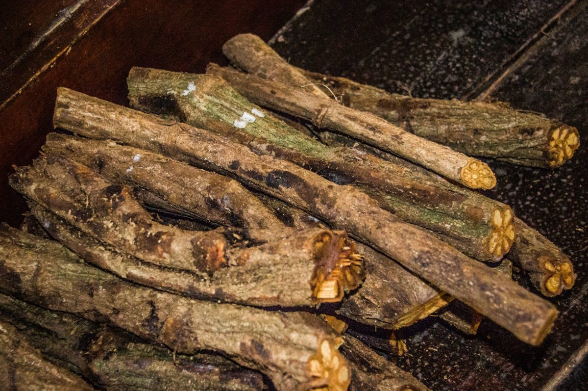 Montón de trozos cortados de liana de Banisteriopsis caapi, con la sección transversal visible, apilados en una caja de madera oscura.